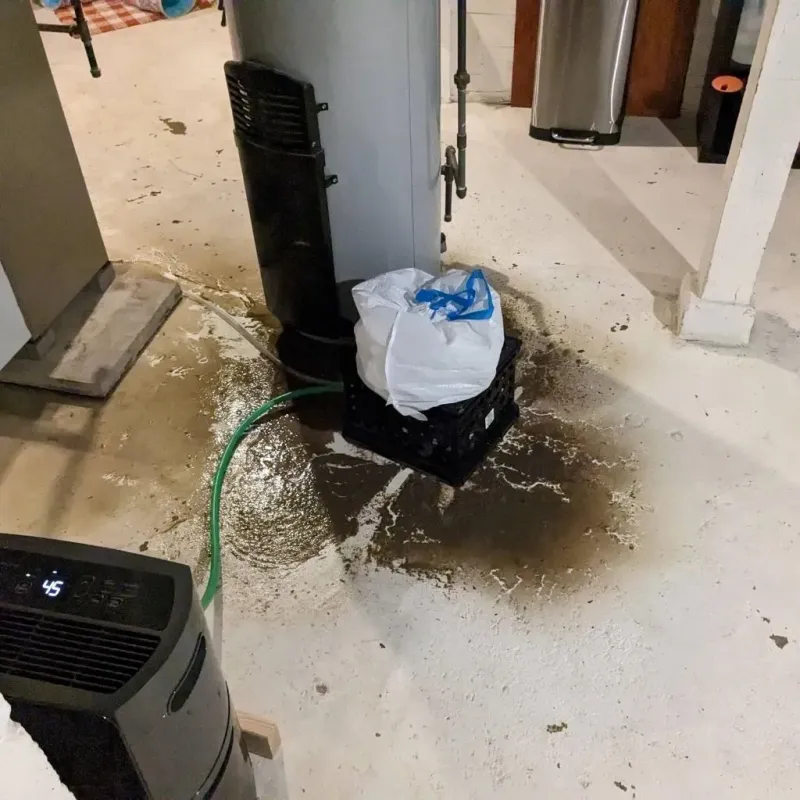 Sewage Backup Cleanup Service in Shelter Island Heights, NY